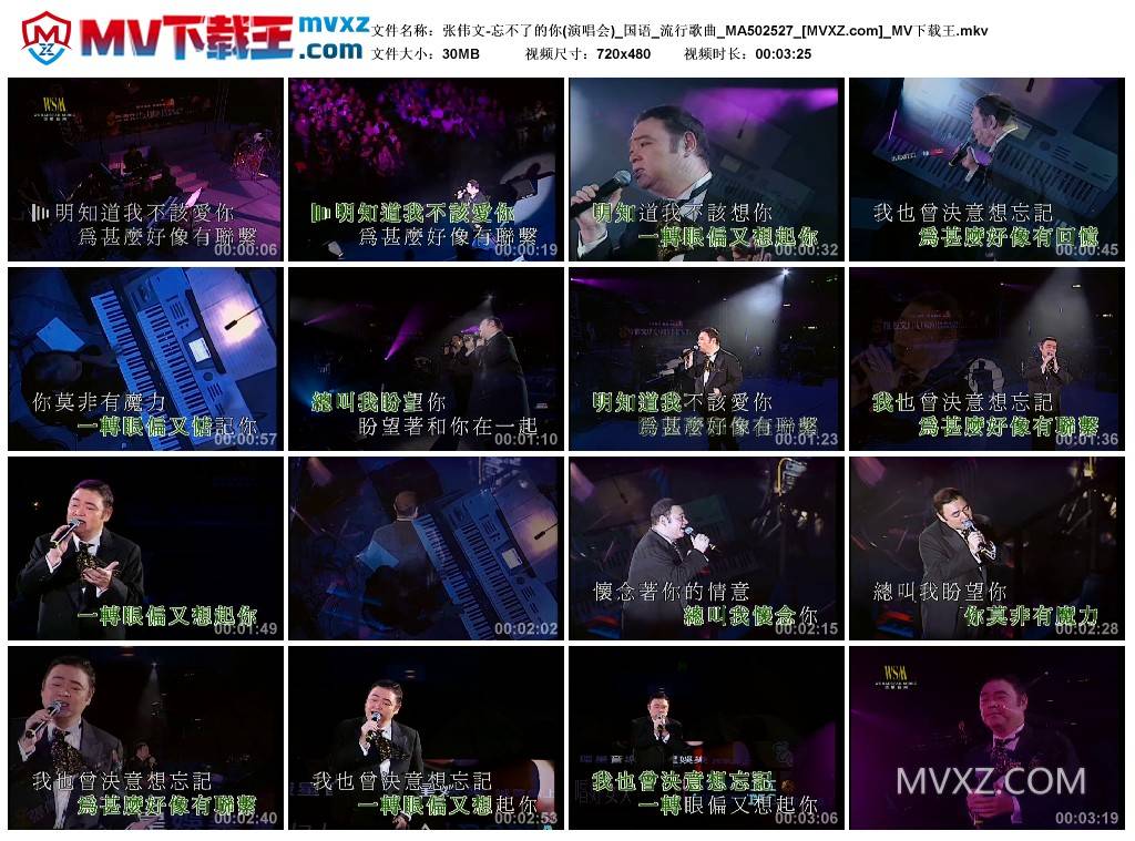 张伟文-忘不了的你(演唱会)_国语_流行歌曲_MA502527